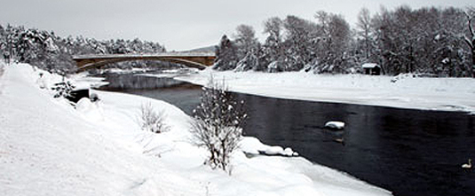 Image for Play Safe this Winter story