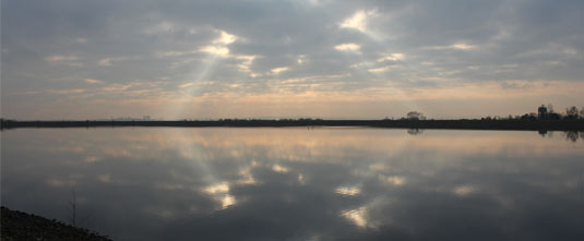 Image for Fire Hydrants story